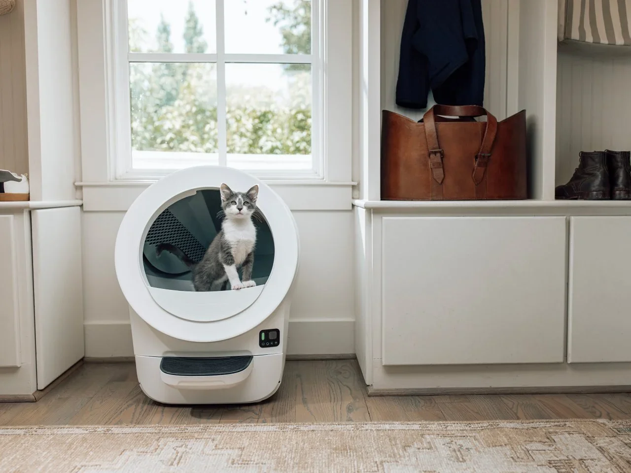 Litter-Robot 4 Review: Is the Price Ever Justified? (2026)